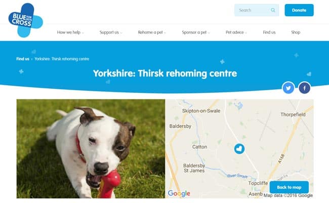 Blue Cross Thirsk Rehoming Centre Thirsk Pet Rescue And Animal Welfare Groups On Adoptable Co Uk