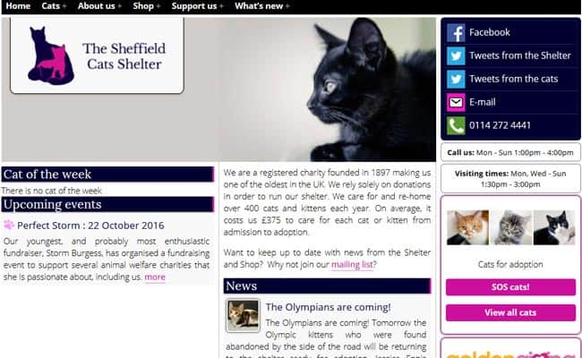 Sheffield Cat Shelter, Sheffield