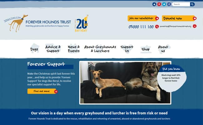 Forever store hounds trust