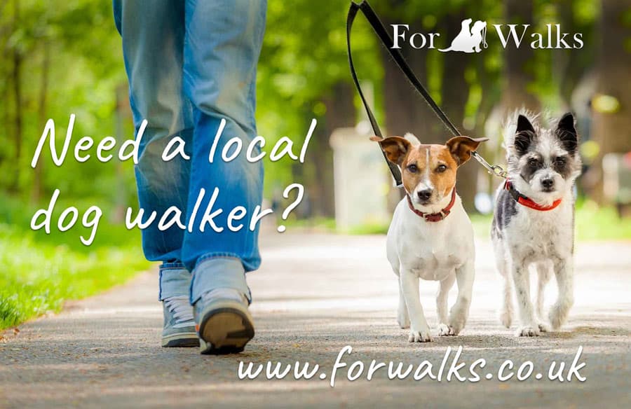 Forwalks a directory of local dog walkers, dogsitters and dog homestay