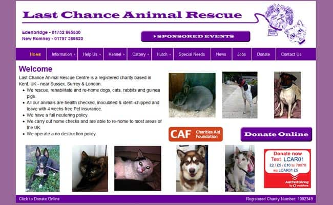 Last chance animal rescue sales near me