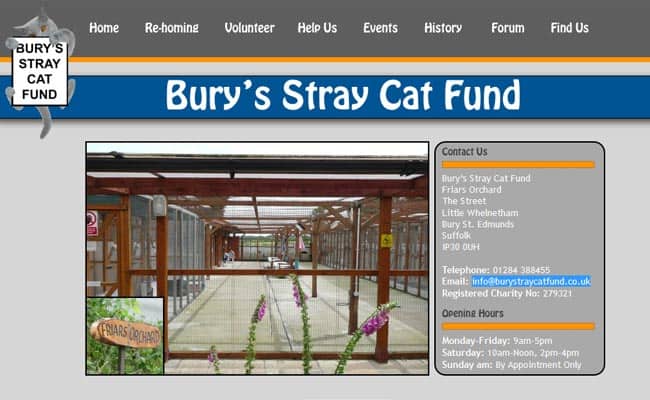 Bury Stray Cat Fund