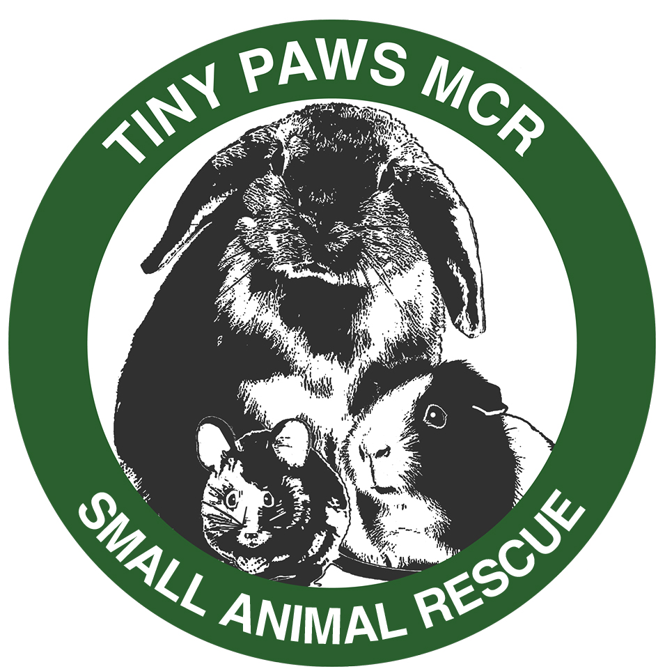 Tiny paws small animal clearance rescue